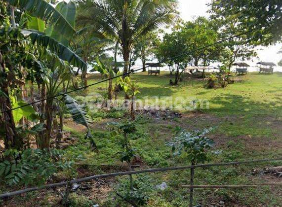 DIJUAL TANAH STRATEGIS DI CARITA PANDEGLANG - HARGA BU BANGET NEGO KERAS