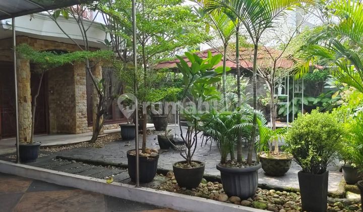 Rumah Mewah Murah Lengkap Kolam Renang di Ragunan Jakarta Selatan