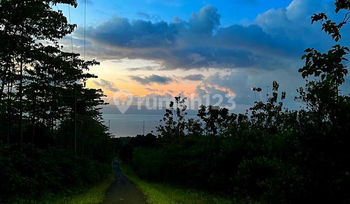 VILLA MEWAH PANORAMA ALAM YANG SUPER INDAH LUAS TANAH 15 HEKTAR DI PELABUHAN RATU SUKA BUMI - HARGA MURAH VILLA MEWAH PANORAMA ALAM YANG SUPER INDAH LUAS TANAH 15 HEKTAR DI PELABUHAN RATU SUKA BUMI - HARGA MURAH