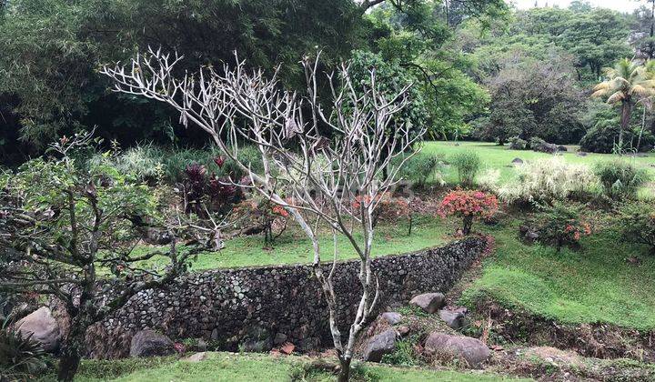 Tanah Komersia Murah L Ex Hotel Di Jln. Raya Puncak Bogor 2