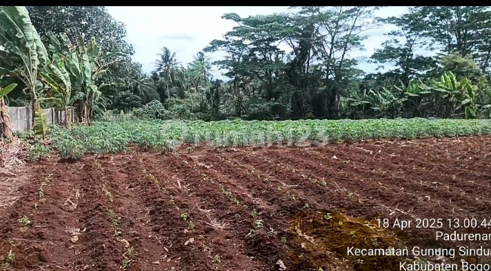Dijual Cepat Tanah Sangat Murah cocok untuk Gudang,Pabrik dll di Pedureran Gunung Sindur