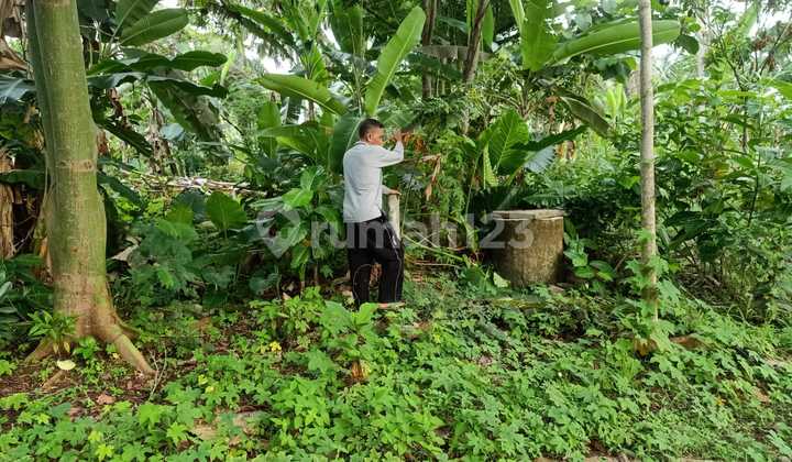 CHEAP LAND ONLY 500K FIRM NEGOTIABLE ON RATA PANTAI CARITA STREET - AREA 43,800M2 CHEAP LAND ONLY 500K FIRM NEGOTIABLE ON RATA PANTAI CARITA STREET - AREA 43,800M2