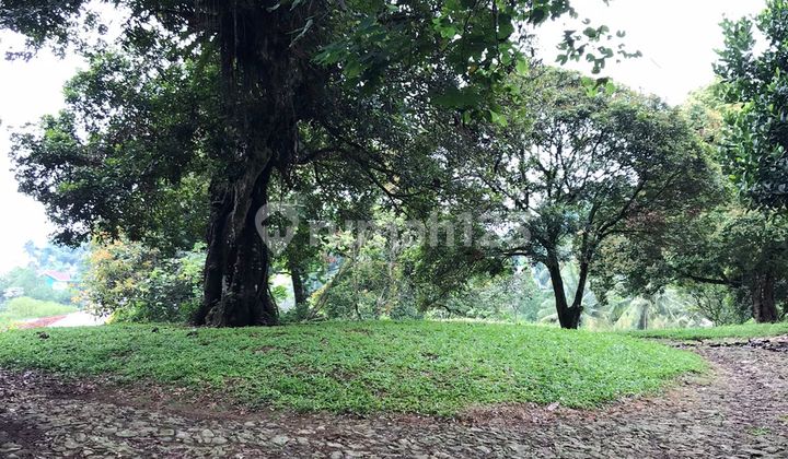 Commercial Land Below NJOP for Sale on Jln Raya Puncak Bogor - Ideal for Investment Commercial Land Below NJOP for Sale on Jln Raya Puncak Bogor - Ideal for Investment