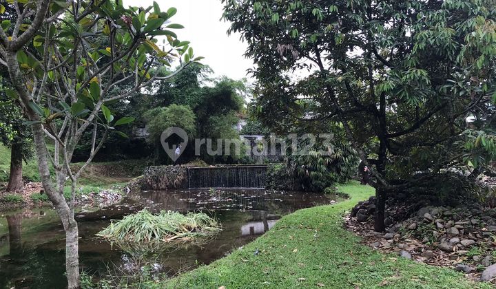 Tanah di bawah NJOP Murah tapi bukan Murahan lokasi di JL Puncak raya cocok untuk Hotel,Villa dll Tanah di bawah NJOP Murah tapi bukan Murahan lokasi di JL Puncak raya cocok untuk Hotel,Villa dll