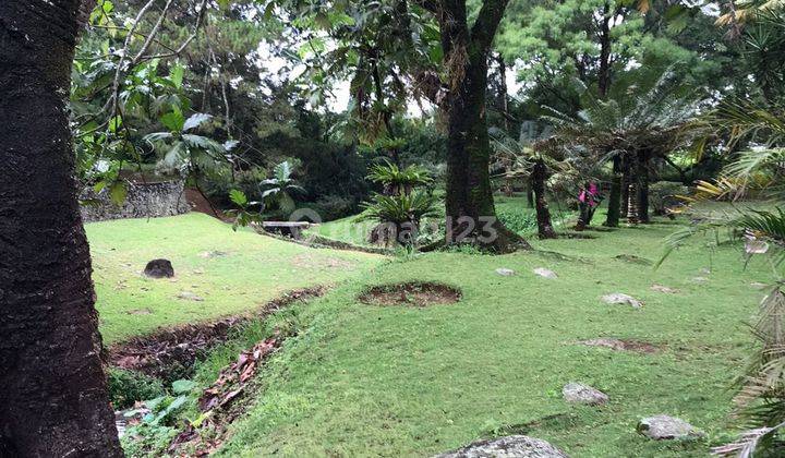 Tanah Komersial 2 Hektar Harga jauh di bawah NJOP Cocok Untuk Pusat Bisnis Jln.puncak Raya Bogor