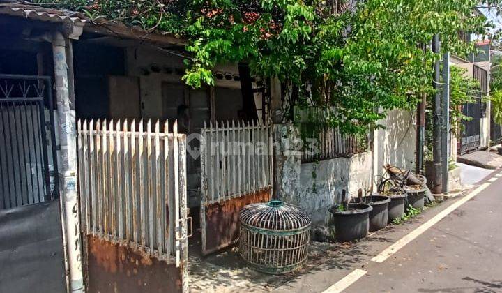 Taman Anggrek 3 Kamar Tidur Full Furnis 2