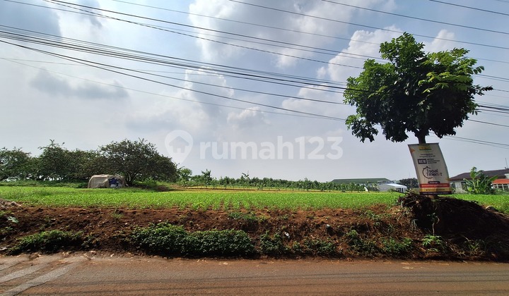 Cinnamon Expansive Land Suitable For Townhouse, Office Building Cinnamon Expansive Land Suitable For Townhouse, Office Building