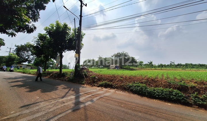 Cinnamon Expansive Land Suitable For Townhouse, Office Building Cinnamon Expansive Land Suitable For Townhouse, Office Building