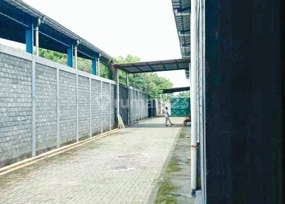 Pabrik Palur 3
