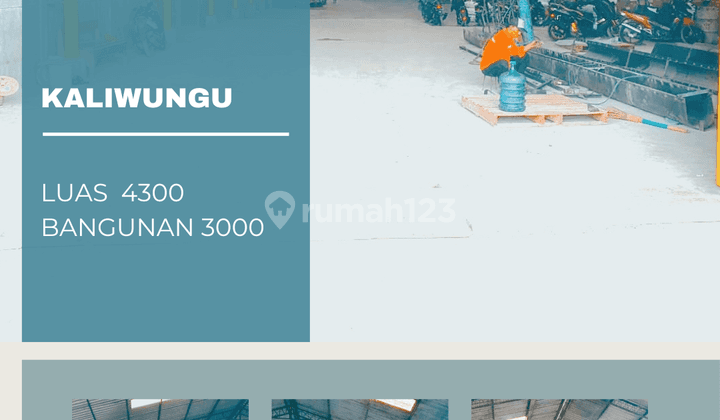 Pabrik Kaliwungu Jual Sewa 1