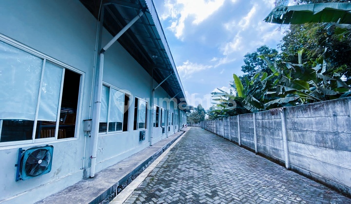 Pabrik Jepara Luas Bagus Siap pakau 2