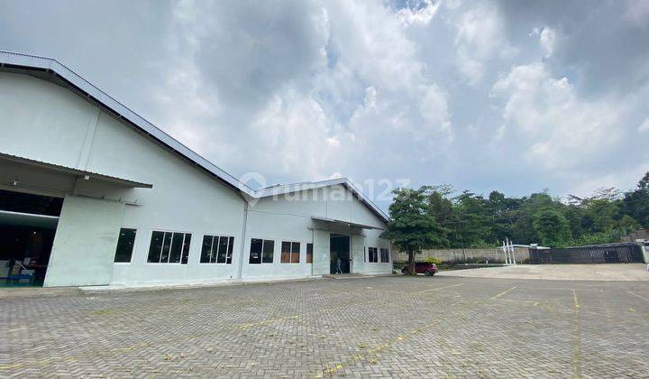 Pabrik Jepara Luas Bagus Siap pakau 7
