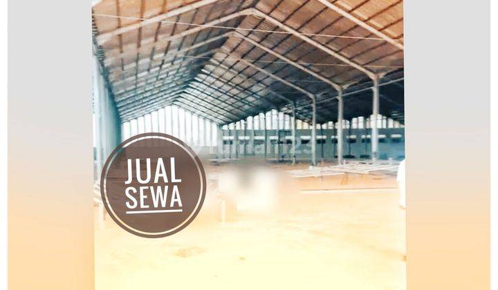 Pabrik Jepara Baru Jual Sewa 2