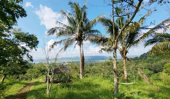 Tanah Kebun View Rawa Pening Tanah Kebun View Rawa Pening