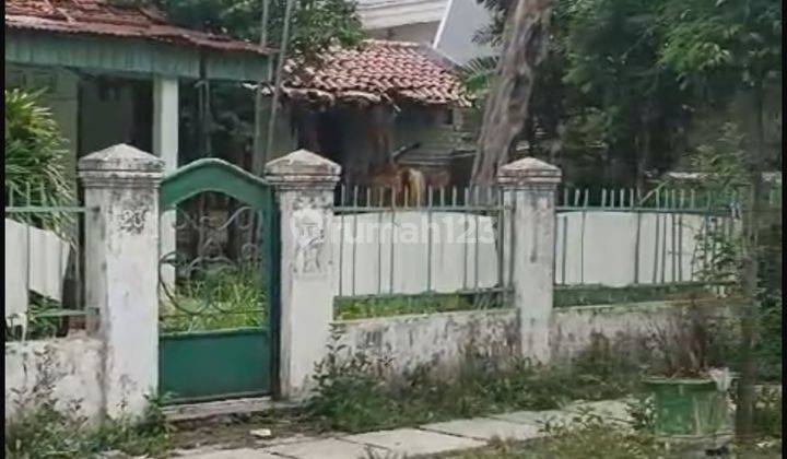 Rumah Tua Hitung Tanah Super Murah Dan Luas Turun Harga Lokasi Pinggir Jalan Di Cempaka Putih Japus 2