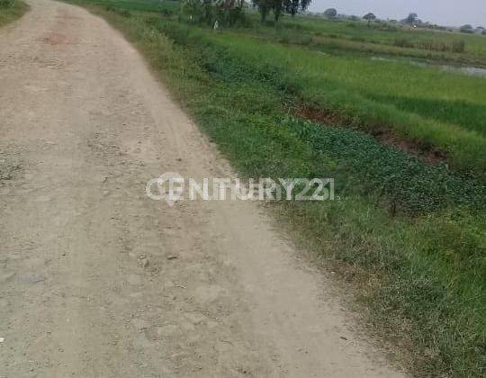 Tanah Kp Poncol Muara Gembong Pantai Harapan Jaya 1