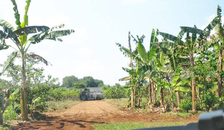 Tanah Cocok Lokasi Bedahan Depok Jawa Barat 1