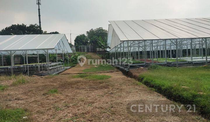 Tanah Lokasi Bagus Untuk Perumahan Di Bogor Jawa Barat 2