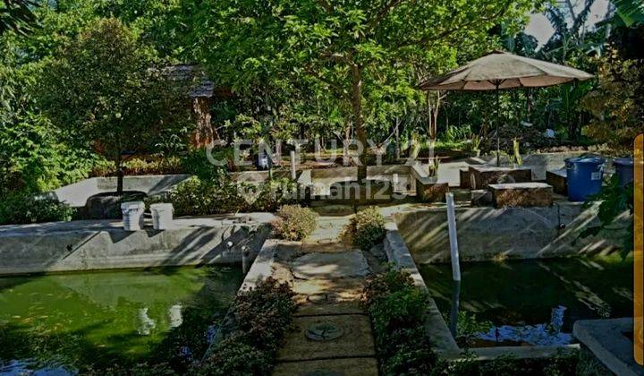 VILLA MURAH DENGAN SWIMMING POOL DI CARINGIN BOGOR 2