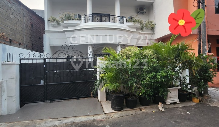  Rumah, Kost & Kontrakan Di Johar Baru Jakpus