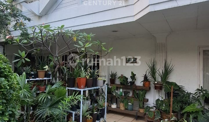 Rumah Asri 2 Lantai Di Pluit Muara Karang Jakarta Utara Rumah Asri 2 Lantai Di Pluit Muara Karang Jakarta Utara