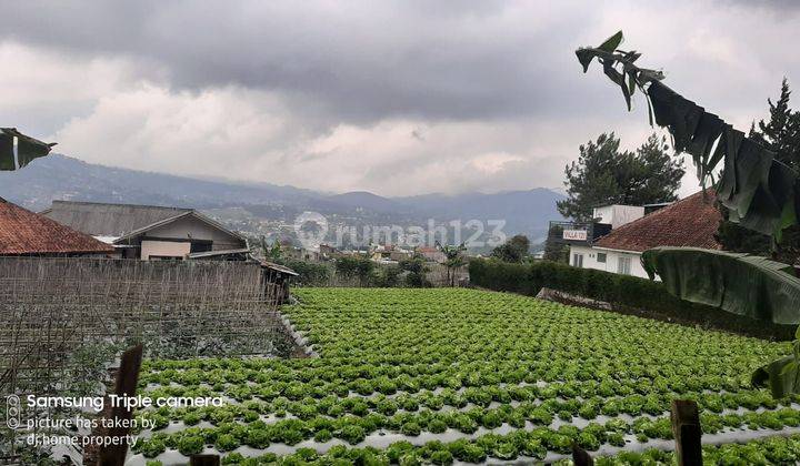 Tanah Strategis Di Jalan Raya Maribaya Bentuk Ngantong Cocok Untuk Hotel Resort Cafe Lembang Bandung 2