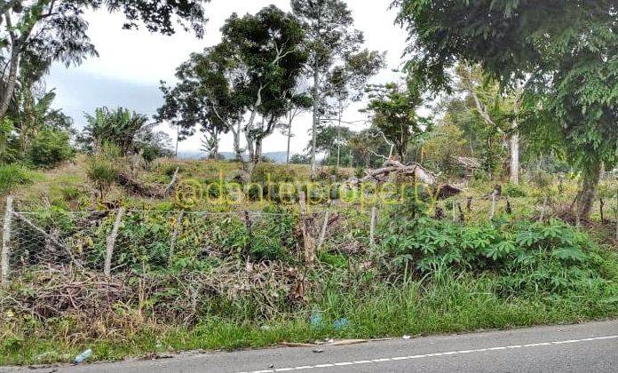 Tanah Siap Garap Atau Bangun Cocok Kebun Kopi Luas 30.814 M2 Shm 2