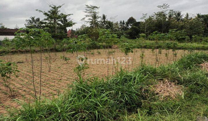 Tanah Area Borobudur Strategis Dekat Ke Jalan Utama 1