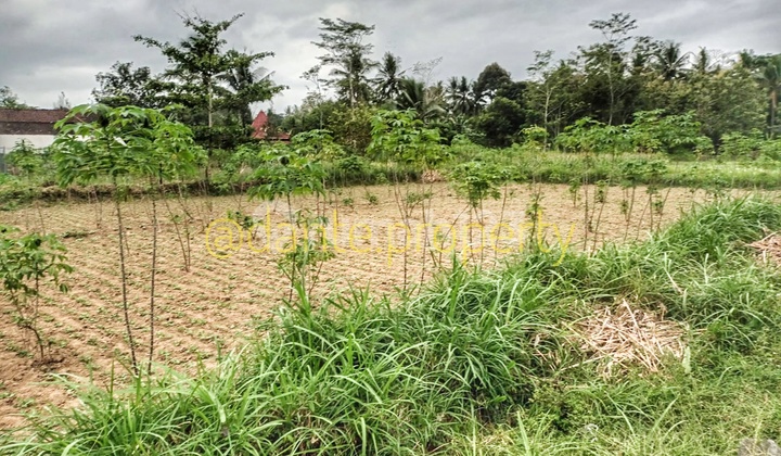 Tanah Area Borobudur Strategis Dekat Ke Jalan Utama 2