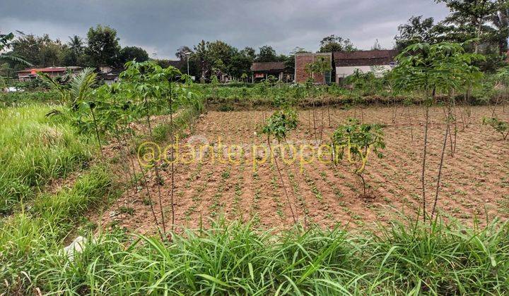 Tanah Area Borobudur Strategis Dekat Ke Jalan Utama 5