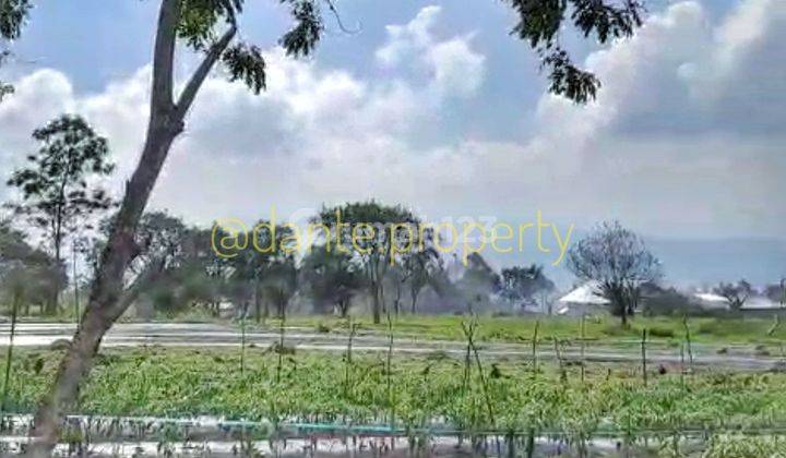 Tanah Siap Garap Bireun Takengon, Blang Ara 2