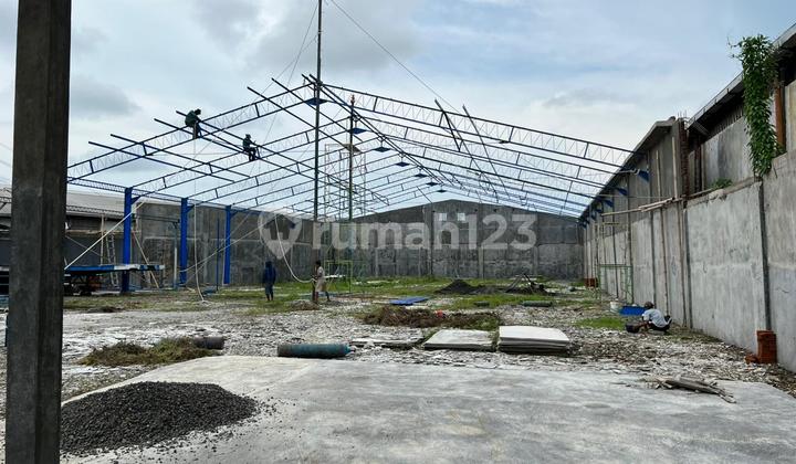 Disewakan Gudang Luas Di Jl. Sayung Demak 9