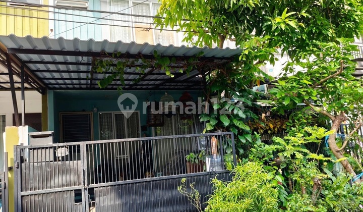 Rumah 2 Lantai Di Kencana Loka Bsd Tangsel
