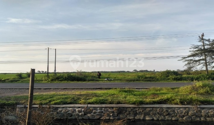 Dijual Tanah Luas Di Jalan Utama Gubug Purwodadi 2