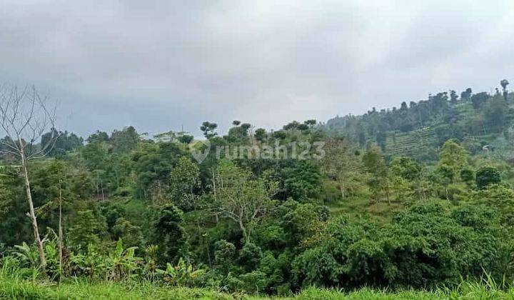 Jual Investasi Murah Bikin Untung Kavling Strategis Di Tanimulya Bandung 1