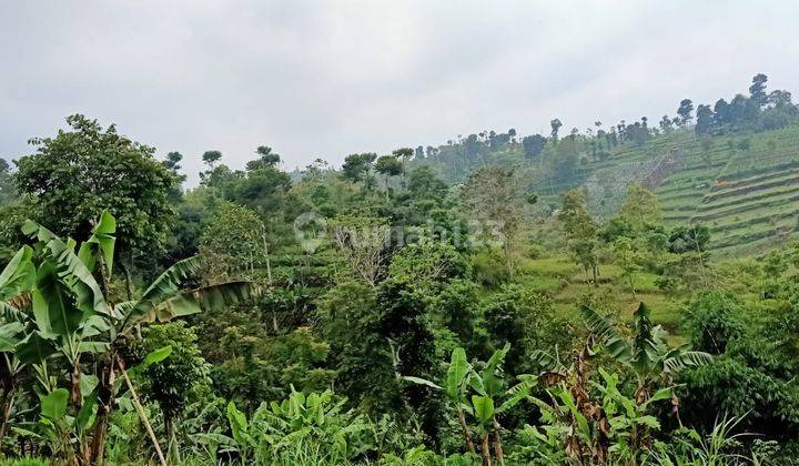 Jual Investasi Murah Bikin Untung Kavling Strategis Di Tanimulya Bandung 3
