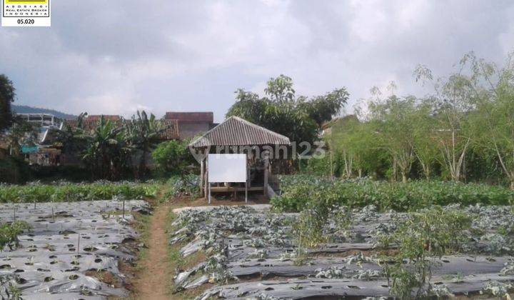 Investasi Murah Bikin Untung Kavling View Asri Di Lembang Bandung  2