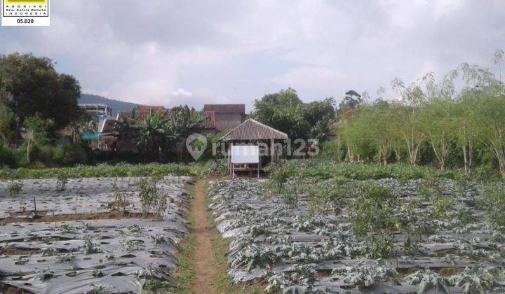 Investasi Murah Bikin Untung Kavling View Asri Di Lembang Bandung  1