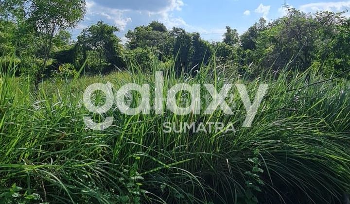 Land 6500 m2 SHM at Zero Suramadu Street, Bangkalan.