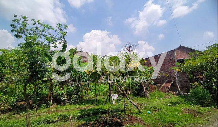 Tanah di Randu Bango, Mojokerto 251 m² 2