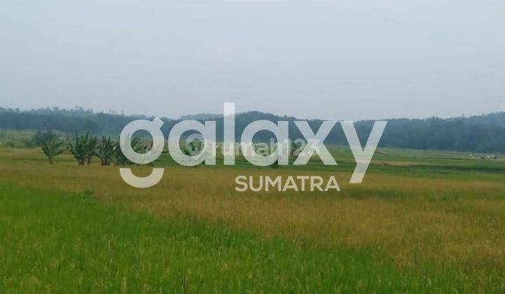 Tanah di Lamongan, SHM 1.100 Ha 1