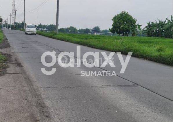 Tanah di Pungging , Mojokerto SHM 22 ha 1