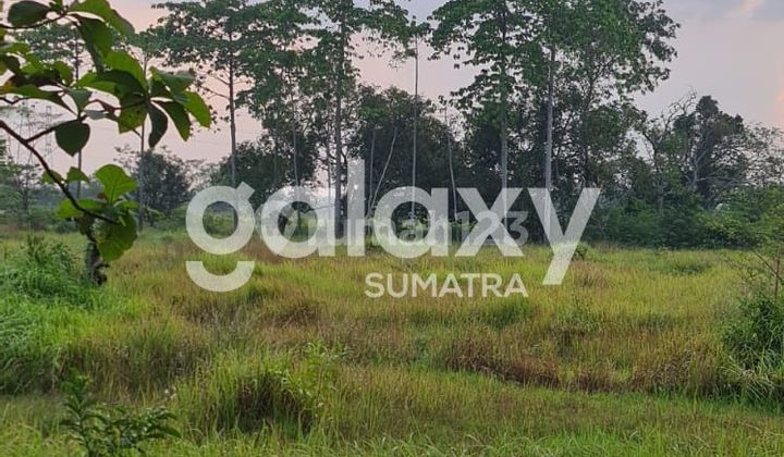 Land in Strategic Location at Zero Kilometer of Suramadu Main Road, Bangkalan