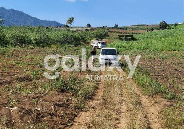 Lahan Perkebunan Apel di Batu, Malang SHM 4 Ha 1