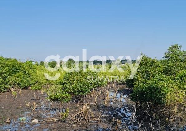 Land 52,000 m2 with SHM in Socah, Bangkalan