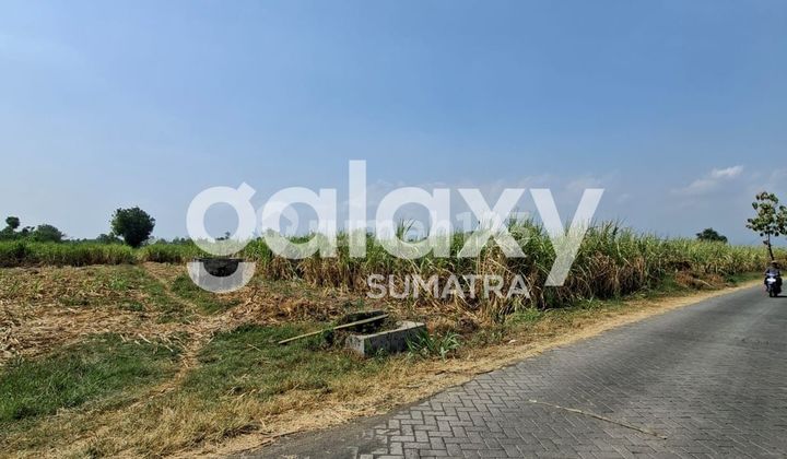 Strategic Land Location in Kejayan Pasuruan Strategic Land Location in Kejayan Pasuruan