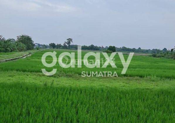 Tanah di Pungging , Mojokerto SHM 22 ha 2