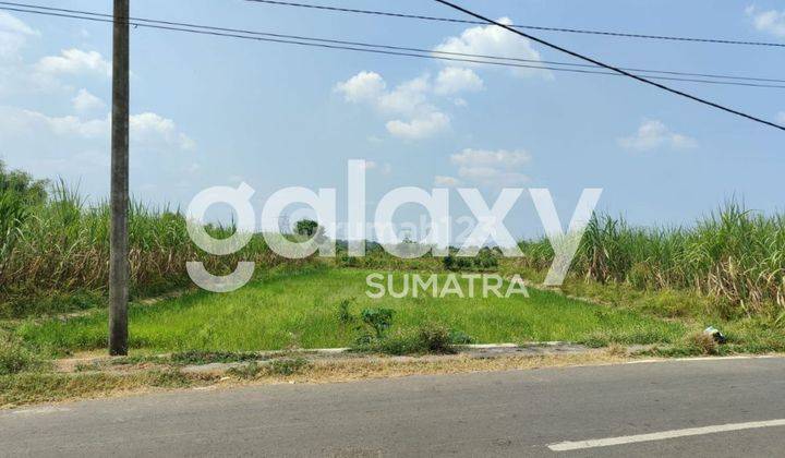 Tanah di Sidoraharjo, Gresik 200.000 m² 1