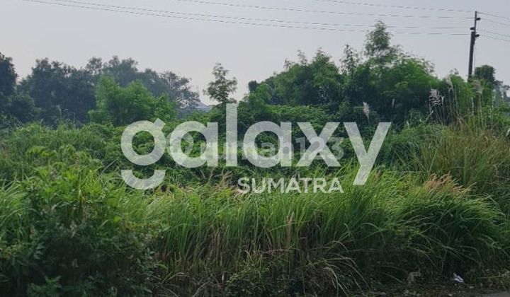 Land 8903 m2 SHM Certificate, Bangkalan Madura