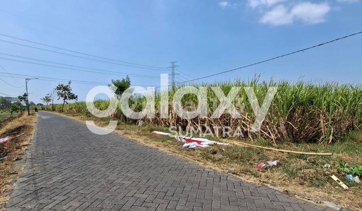 Strategic Land Location in Kejayan Pasuruan Strategic Land Location in Kejayan Pasuruan